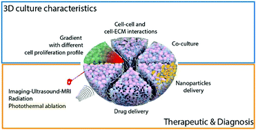 Graphical abstract: 3D cultures for modeling nanomaterial-based photothermal therapy