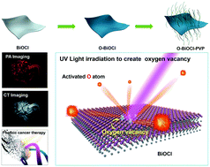 Graphical abstract: Defect engineering of 2D BiOCl nanosheets for photonic tumor ablation