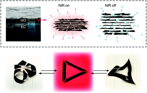 Graphical abstract: Photothermal actuated origamis based on graphene oxide–cellulose programmable bilayers