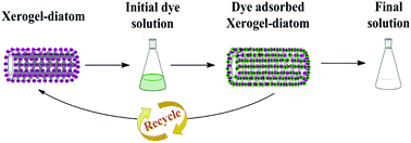 Graphical abstract: Xerogel activated diatoms as an effective hybrid adsorbent for the efficient removal of malachite green