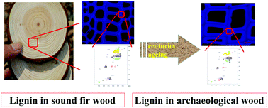 Graphical abstract: Revealing the effects of centuries of ageing on the chemical structural features of lignin in archaeological fir woods
