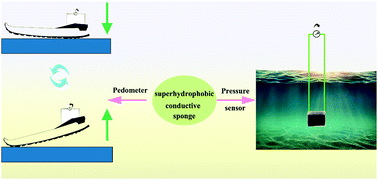 Graphical abstract: Multifunctional WS2&M-AgNPs superhydrophobic conductive sponges for application in various sensors