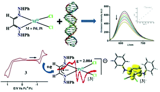 Graphical abstract: Palladium(ii) and platinum(ii) complexes of glyoxalbis(N-aryl)osazone: molecular and electronic structures, anti-microbial activities and DNA-binding study