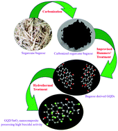 Graphical abstract: Biowaste derived graphene quantum dots interlaced with SnO2 nanoparticles – a dynamic disinfection agent against Pseudomonas aeruginosa