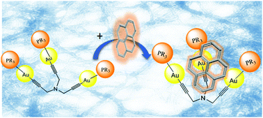 Graphical abstract: Supramolecular tripodal Au(i) assemblies in water. Interactions with a pyrene fluorescent probe