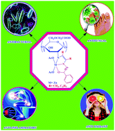Graphical abstract: Zinc(ii) centered biologically active novel N,N,O donor tridentate water-soluble hydrazide-based O-carboxymethyl chitosan Schiff base metal complexes: synthesis and characterisation
