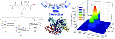 Graphical abstract: Type of complex–BSA binding forces affected by different coordination modes of alliin in novel water-soluble ruthenium complexes