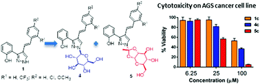 Graphical abstract: Novel styrylpyrazole-glucosides and their dioxolo-bridged doppelgangers: synthesis and cytotoxicity