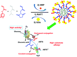 Graphical abstract: Preparation of functionalized star polymer nanoparticles by RAFT polymerization and their application in positionally assembled enzymes for cascade reactions