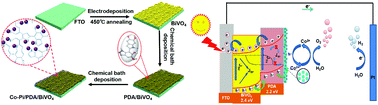 Graphical abstract: Confined growth of Co–Pi co-catalyst by organic semiconductor polymer for boosting the photoelectrochemical performance of BiVO4