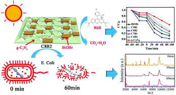 Graphical abstract: Ultrasound-assisted two-step water-bath synthesis of g-C3N4/BiOBr composites: visible light-driven photocatalysis, sterilization, and reaction mechanism