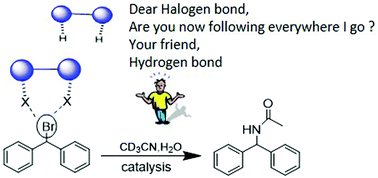 Graphical abstract: Organocatalysis by a multidentate halogen-bond donor: an alternative to hydrogen-bond based catalysis
