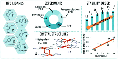 Graphical abstract: Relationship between solid state structure and solution stability of copper(ii)–hydroxypyridinecarboxylate complexes