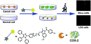 Graphical abstract: An AIE-based self-assembled fluorescent probe for COX-2 imaging