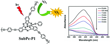 Graphical abstract: Subphthalocyanine-based conjugated porous polymers for efficient singlet oxygen generation