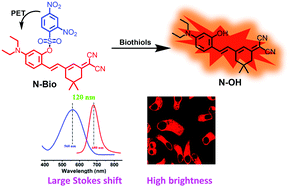 Graphical abstract: A NIR fluorescent sensor for biothiols based on a dicyanoisophorone derivative with a large Stokes shift and high quantum yield