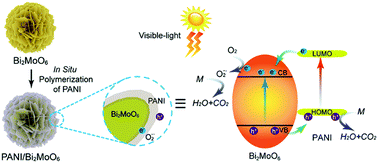 Graphical abstract: Design and fabrication of polyaniline/Bi2MoO6 nanocomposites for enhanced visible-light-driven photocatalysis