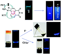 Graphical abstract: An “off–on” fluorescent naphthalimide-based sensor for anions: its application in visual F− and AcO− discrimination in a self-assembled gel state