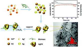 Graphical abstract: Plant-mediated synthesis of AgPd/γ-Al2O3 catalysts for selective hydrogenation of 1,3-butadiene at low temperature