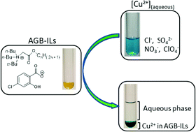 Graphical abstract: Synthesis and characterization of analogues of glycine-betaine ionic liquids with the 4-chlorosalicylate anion and their use in the extraction of copper(ii) ions