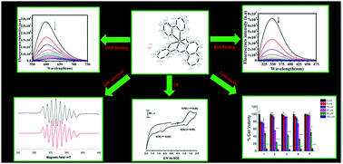 Graphical abstract: Synthesis, structure and biological evaluation of mixed ligand oxidovanadium(iv) complexes incorporating 2-(arylazo)phenolates