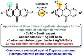 Graphical abstract: Copper complexes and carbon nanotube–copper ferrite-catalyzed benzenoid A-ring selenation of quinones: an efficient method for the synthesis of trypanocidal agents