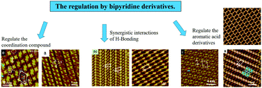 Graphical abstract: Advances in the regulation of bipyridine derivatives on two-dimensional (2D) supramolecular nanostructures