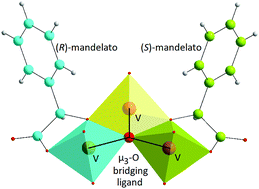 Graphical abstract: Vanadium(v) complexes of mandelic acid