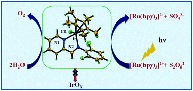Graphical abstract: Photochemical oxidation of water catalysed by cyclometalated Ir(iii) complexes bearing Schiff-base ligands