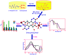 Graphical abstract: Facile template synthesis of water-soluble triazine-based Schiff base ligand bridged-coordination polymers of Co(ii), Ni(ii), and Cu(ii): structure, biomolecular interactions, and cytotoxic activity