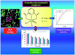 Graphical abstract: Synthesis, crystal structure, DFT calculations, protein interaction, anticancer potential and bromoperoxidase mimicking activity of oxidoalkoxidovanadium(v) complexes