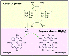 Graphical abstract: Bromination of tetrapyrrolic scaffolds: a sustainable approach