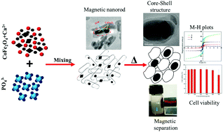 Graphical abstract: Fabrication of core–shell CoFe2O4@HAp nanoparticles: a novel magnetic platform for biomedical applications
