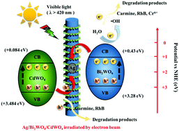 Graphical abstract: Electron beam irradiation treatment of Ag/Bi2WO6/CdWO4 heterogeneous material with enhanced photocatalytic activity