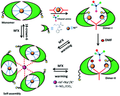 Graphical abstract: The role of a weakly coordinating thioether group in ligation controlled molecular self-assemblies and their inter-conversions in Ni(ii) complexes of l-methionine derived ligand