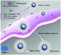 Graphical abstract: A dual responsive hyaluronic acid graft poly(ionic liquid) block copolymer micelle for an efficient CD44-targeted antitumor drug delivery