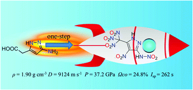 Graphical abstract: 3-Trinitromethyl-4-nitro-5-nitramine-1H-pyrazole: a high energy density oxidizer