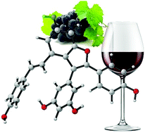 Graphical abstract: Theoretical studies on the antioxidant activity of viniferifuran