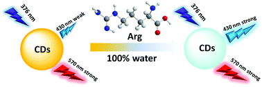 Graphical abstract: Synthesis of dual-emission fluorescent carbon quantum dots and their ratiometric fluorescence detection for arginine in 100% water solution