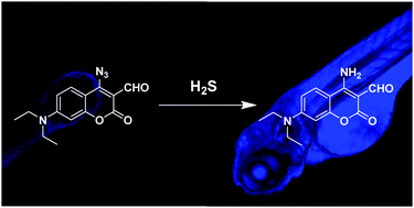 Graphical abstract: An instantaneous fluorescent probe for detecting hydrogen sulfide in biological systems