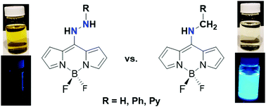 Graphical abstract: Synthesis and characterization of hydrazine-appended BODIPY dyes and the related aminomethyl complexes