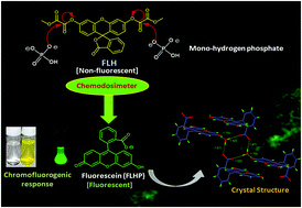 Graphical abstract: An incisive optical recognition of monohydrogen phosphate by a fluorescein-based chemodosimeter