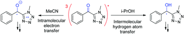 Graphical abstract: Photochemical reactivity of phenyl (methyl-tetrazolyl) ketone – hydrogen atom transfer vs. electron transfer