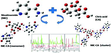 Graphical abstract: Vibrational spectra, hydrogen bonding interactions and chemical reactivity analysis of nicotinamide–citric acid cocrystals by an experimental and theoretical approach