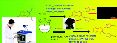 Graphical abstract: Cu(ii), Ir(i) and CuO nanocatalyzed mild synthesis of luminescent symmetrical and unsymmetrical bis(triazolylmethyl)quinoxalines: biocompatibility, cytotoxicity, live cell imaging and biomolecular interaction