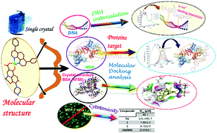 Graphical abstract: Copper(ii) complexes based on levofloxacin and 2N-donor ligands: synthesis, crystal structures and in vitro biological evaluation