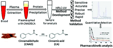 Graphical abstract: Development and validation of a bioanalytical HPLC method for simultaneous estimation of cinnamaldehyde and cinnamic acid in rat plasma: application for pharmacokinetic studies