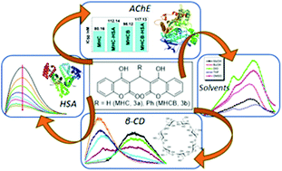 Graphical abstract: Fluorescence solvatochromism and modulated anticholinergic activity of novel coumarin compounds sequestered in human serum albumin nanocavities
