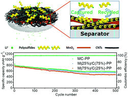 Graphical abstract: Inhibiting polysulfide shuttling using dual-functional nanowire/nanotube modified layers for highly stable lithium–sulfur batteries