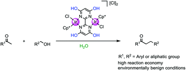 Graphical abstract: The α-alkylation of ketones with alcohols in pure water catalyzed by a water-soluble Cp*Ir complex bearing a functional ligand